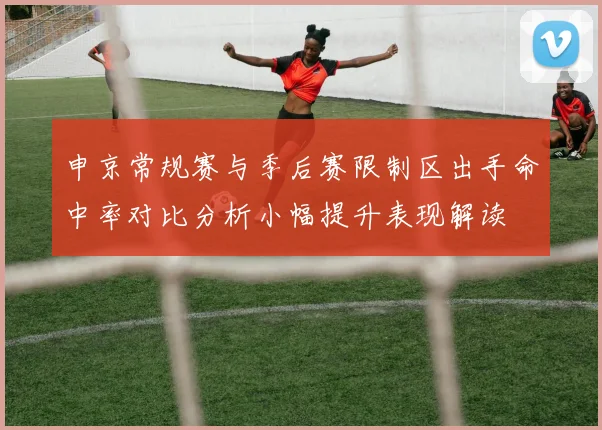 申京常规赛与季后赛限制区出手命中率对比分析小幅提升表现解读
