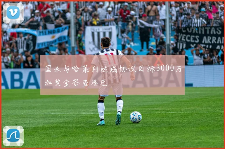 国米与哈莱利达成协议目标3000万加奖金签查洛巴